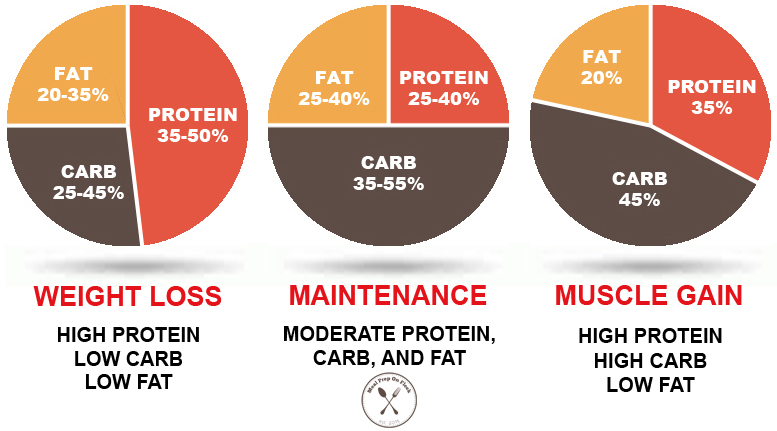 Macro Calculator for Weight Loss